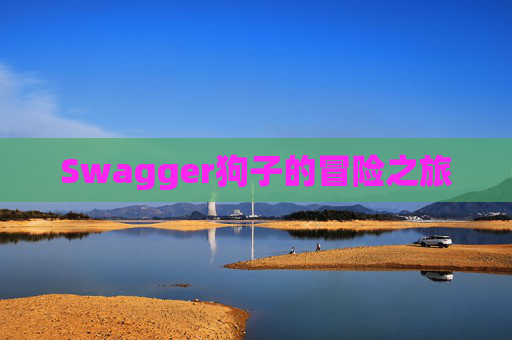 Swagger狗子的冒险之旅