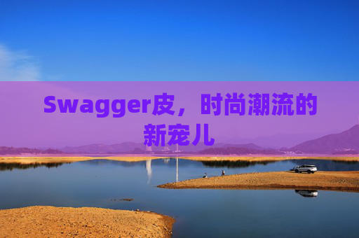 Swagger皮，时尚潮流的新宠儿