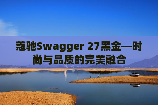 蔻驰Swagger 27黑金—时尚与品质的完美融合
