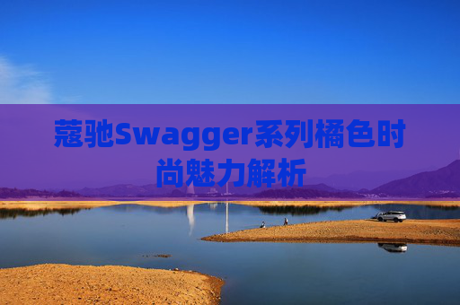 蔻驰Swagger系列橘色时尚魅力解析
