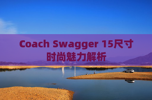 Coach Swagger 15尺寸时尚魅力解析